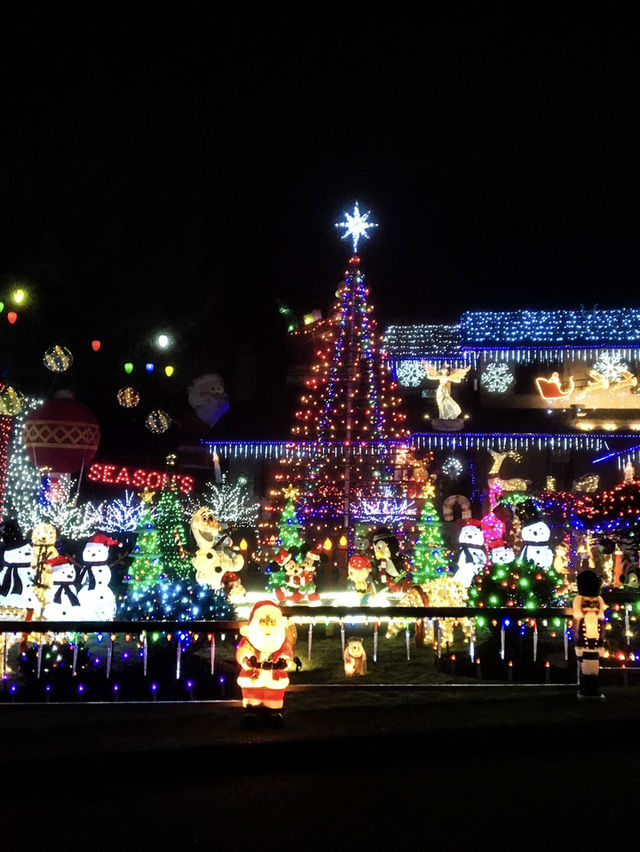 【バンクーバー🇨🇦】クリスマスを探しにお散歩へ🎅