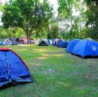 An awesome campsite with beautiful wildlife and landscape 🌿🦌🍃🦋🌳🐒