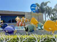 Rayong Aquarium 🐡🐠🪼