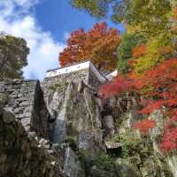 岡山景點｜空中之城．日本唯一山城天守閣—備中松山城（高粱城）