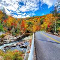 Great Smoky Mountains, USA