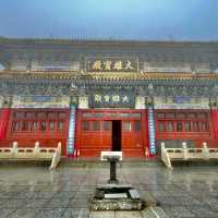 Central Wisdom: Serenity Unveiled