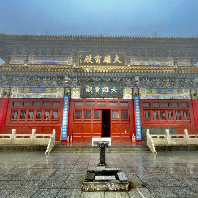 Central Wisdom: Serenity Unveiled