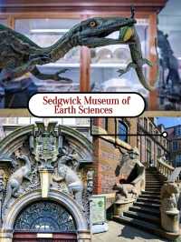 An amazing place to explores, sightseeing and broaden your horizons!