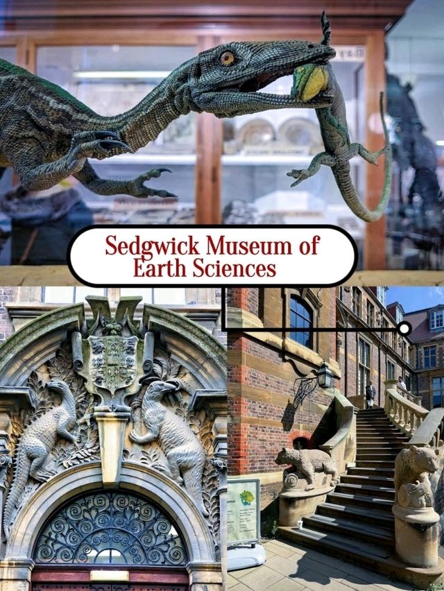 An amazing place to explores, sightseeing and broaden your horizons!