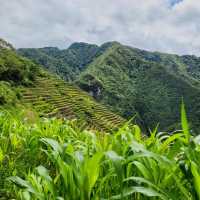 A Journey Through Time: Exploring Batad Rice Terraces