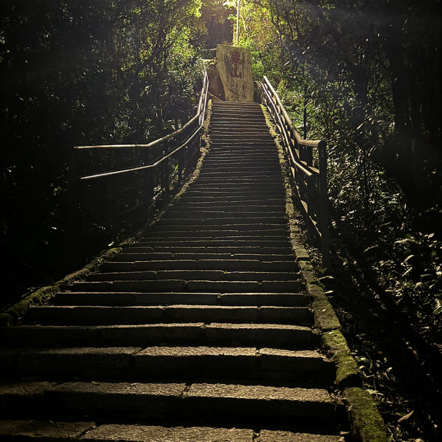 強烈推薦加入台北的行程