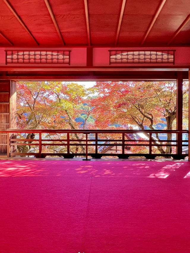 京都 ❤︎ 紅葉のリフレクションが素敵🍁✨秋のおすすめスポット❤︎