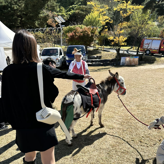 가을의 청취가 물씬 느껴지는 이천농업테마파크🌾