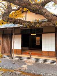 景點推薦：松風園——福岡黃葉季的靜謐庭園之美