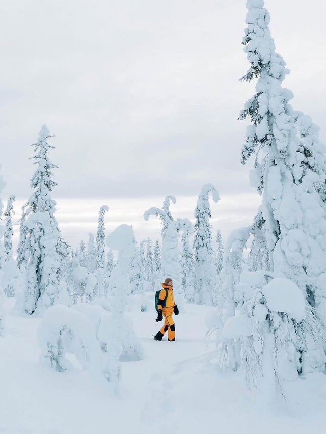 Skiing in Verbier: The Ultimate Alpine Playground