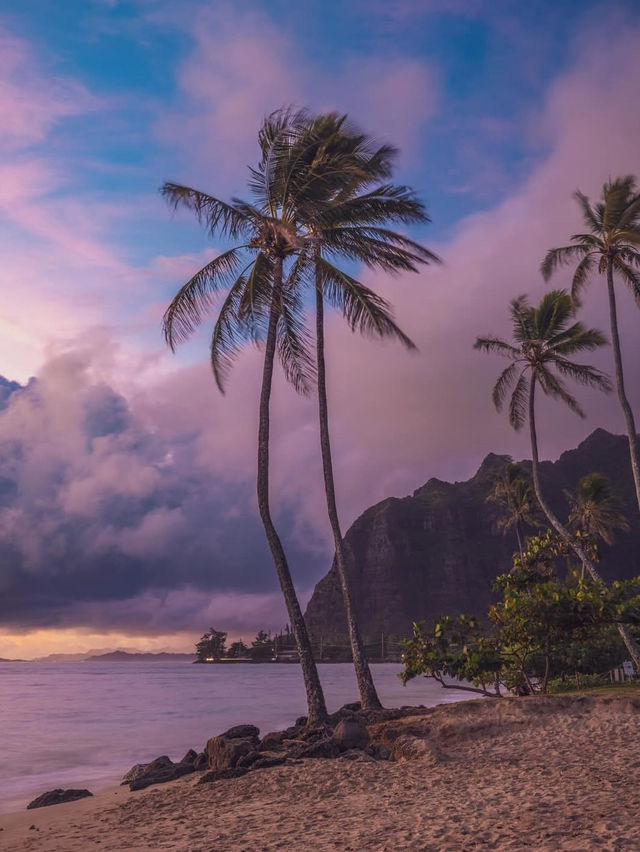 5 Reasons You Need to Visit Hawaii (Straight from Santa’s List!)🎅