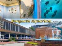 Bangsaen Aquarium: ดินแดนใต้ท้องทะเล 🐠