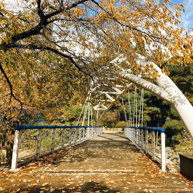 Anyang Art Park สวนศิลปะกลางหุบเขา