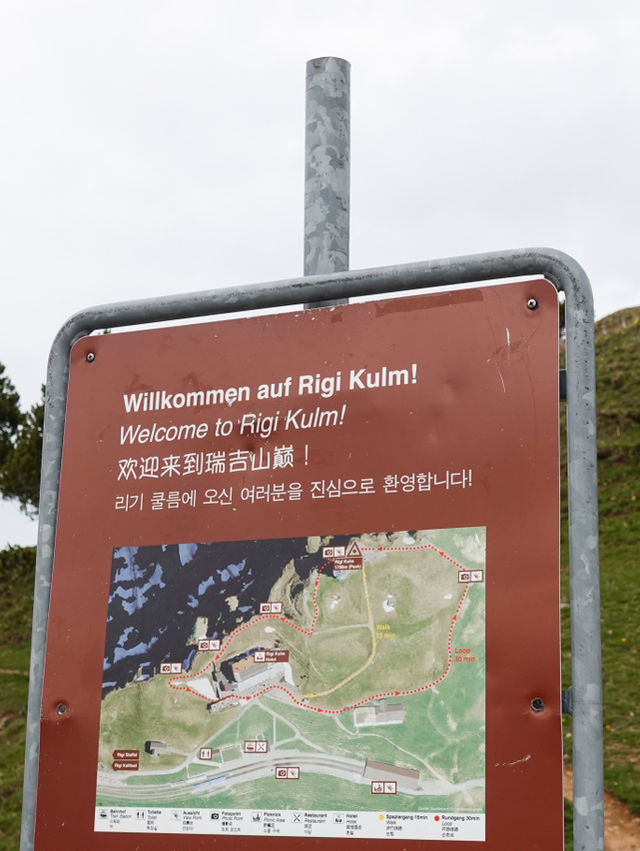 🇨🇭搭齒軌列車到山頂🏞️🏔️