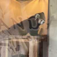 東武動物公園いいね