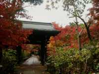 千葉🇯🇵本土寺
