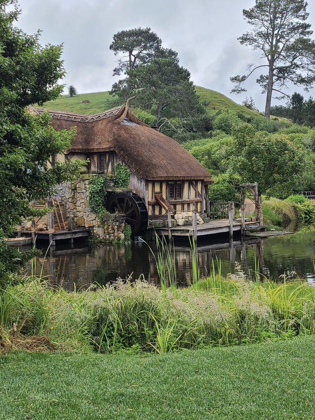 Hobbiton Movie Set, NZ