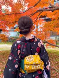 【京都🇯🇵】着物を着て、秋の東福寺を満喫しよう🤍