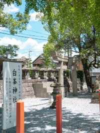 美奈宜神社 & 白峯神社　📍福岡/ 朝倉