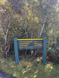 Hokitika Gorge: A Hidden Oasis of Turquoise Beauty and Wild Nature