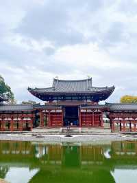 【京都　宇治】紅葉シーズンの平等院