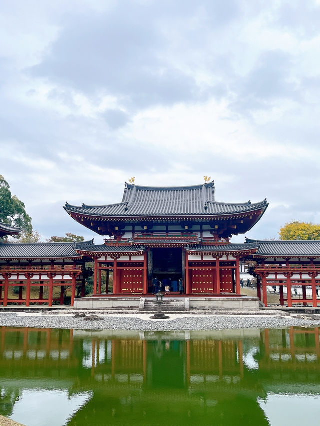 【京都　宇治】紅葉シーズンの平等院