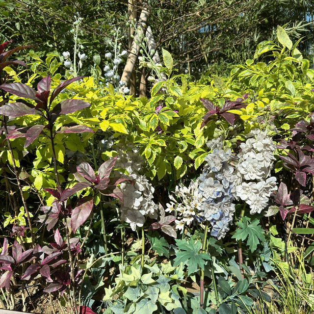 🌿 探索觀塘的綠洲：APM潮人花園🌼