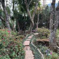 ชมดอกไม้สวยๆ ที่สถานีเกษตรหลวงอินทนนท์