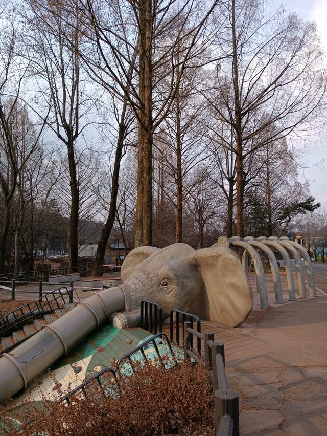 首爾親子遊 - 首爾動物園