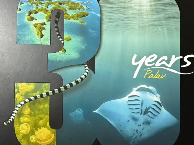 Diving in Palau 