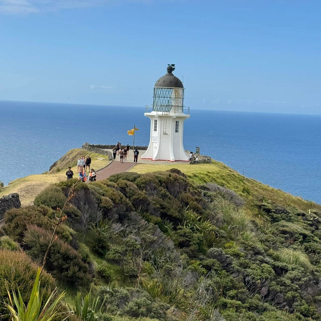 Cape Reinga