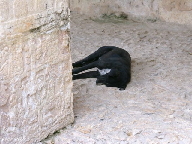 【メキシコ】古代マヤの神殿ピラミッド「チチェン・イツァ」