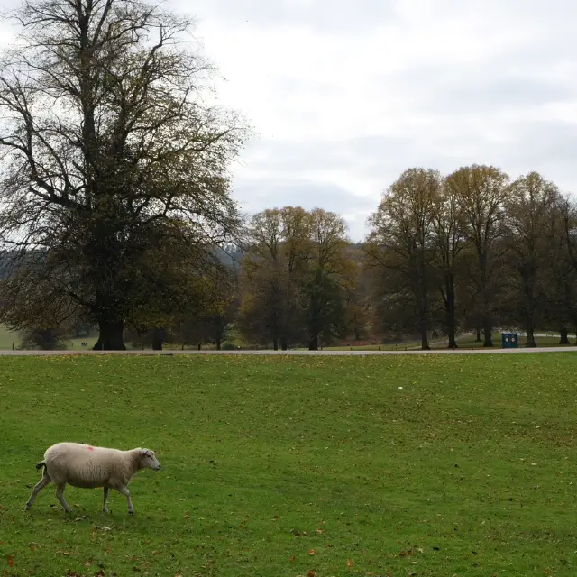 Chatsworth house
