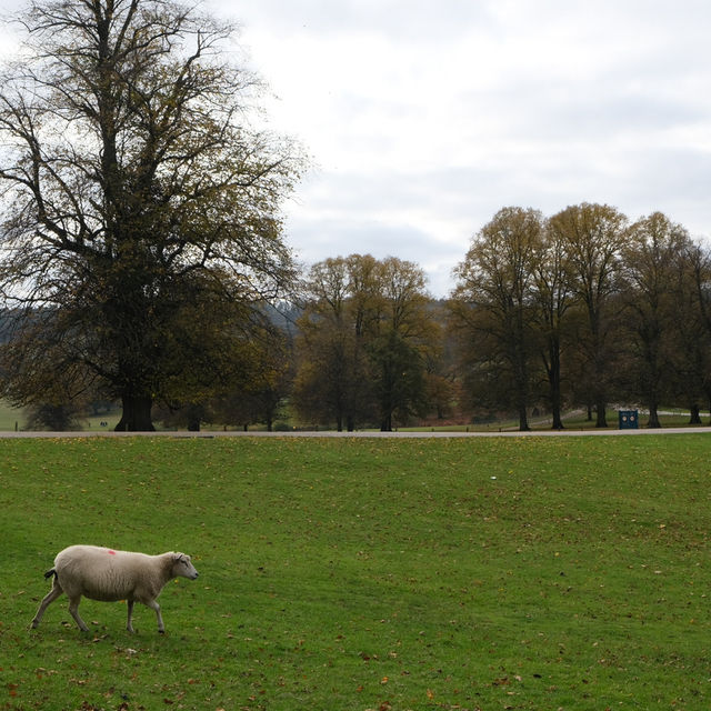 Chatsworth house🍂