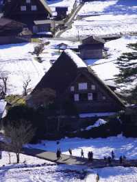 【飛騨高山×白川郷】世界遺産白川郷合掌集落が一望できるスポット