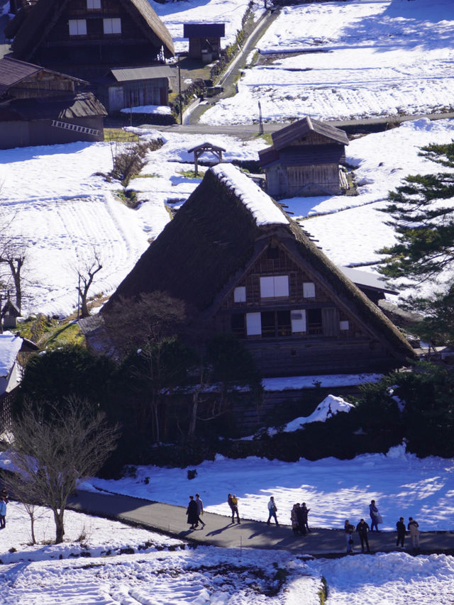 【飛騨高山×白川郷】世界遺産白川郷合掌集落が一望できるスポット