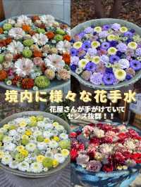 【埼玉×行田】週替わりの花手水が境内の至る所に・・