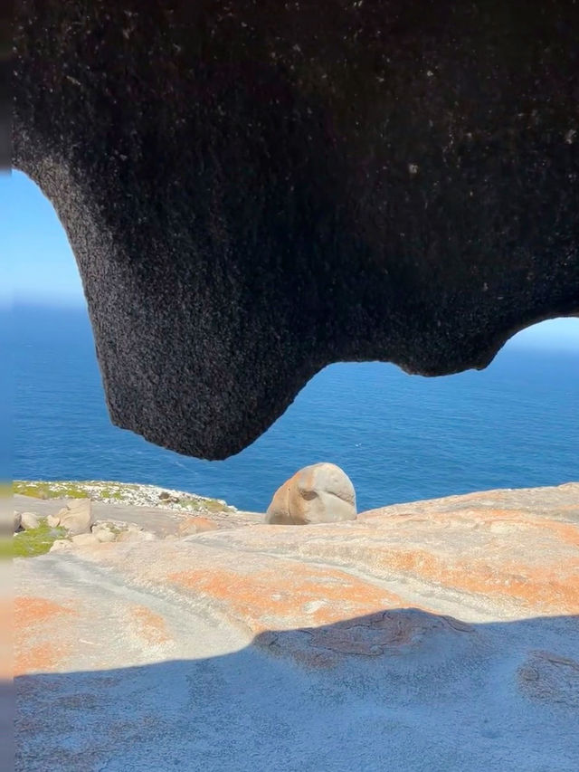 Wilderness Wonder: Exploring Flinders Chase National Park, Kangaroo Island