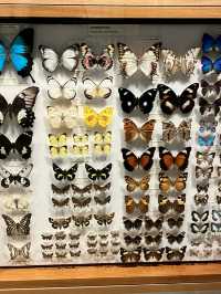 Melbourne Museum is a must-visit destination