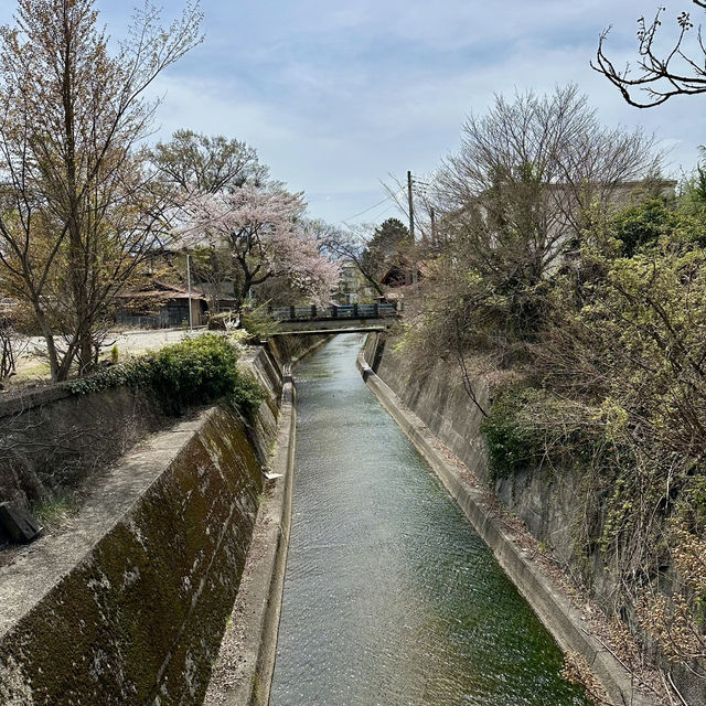 ชี้เป้าพิกัดถ่ายรูปฟูจิสวย ที่เมือง Fujiyoshida 