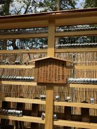 【長野】諏訪大社四社めぐり