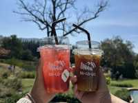 ทริปเขาใหญ่ 2 วัน 1 คืน🏞️🌳