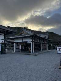 Magnificent Tenryu-ji Temple, Kyoto 🇯🇵