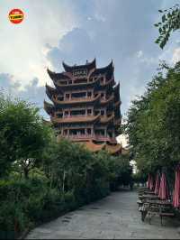 หอนกกระเรียนเหลือง - อู๋ฮั่น🇨🇳