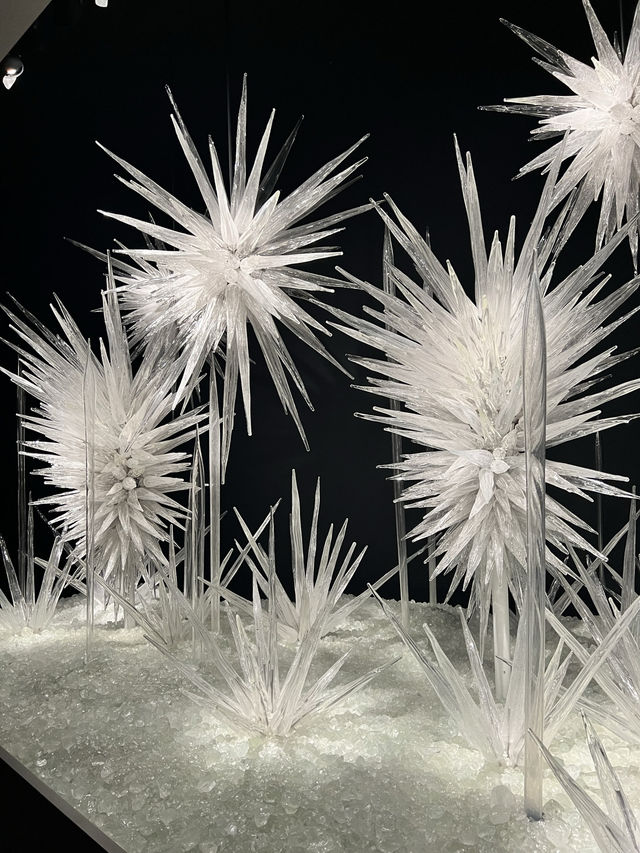 Stunning Glass work in Seattle! 