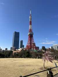 📍東京鐵塔——東京最經典的地標🗼