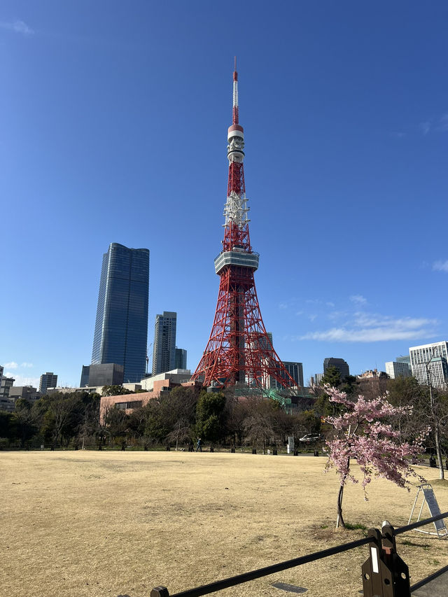 📍東京鐵塔——東京最經典的地標🗼