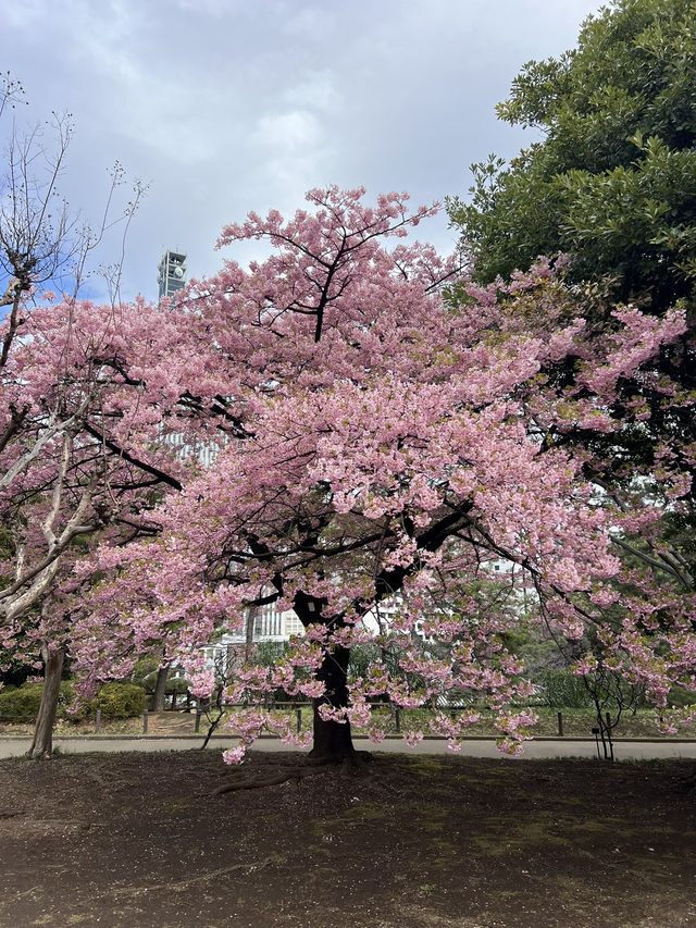 東京景點推薦：皇居