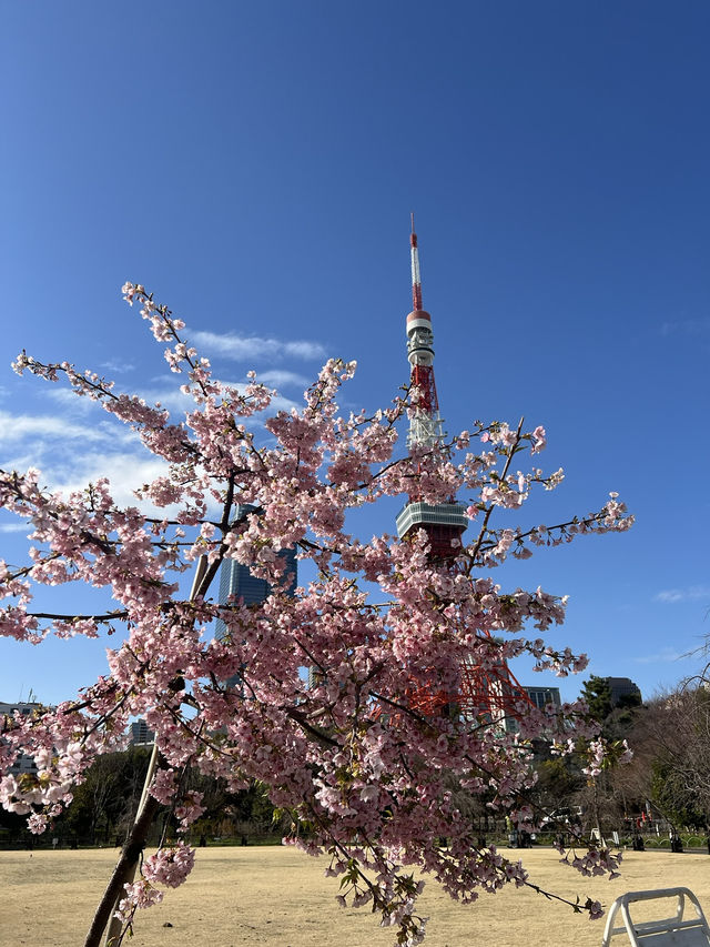 📍東京鐵塔——東京最經典的地標🗼